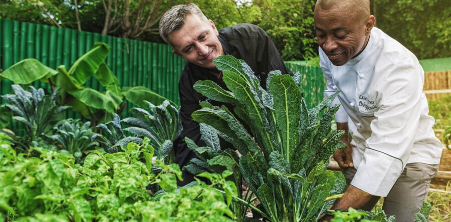 Farm To Table: Committed To Support Local Producers